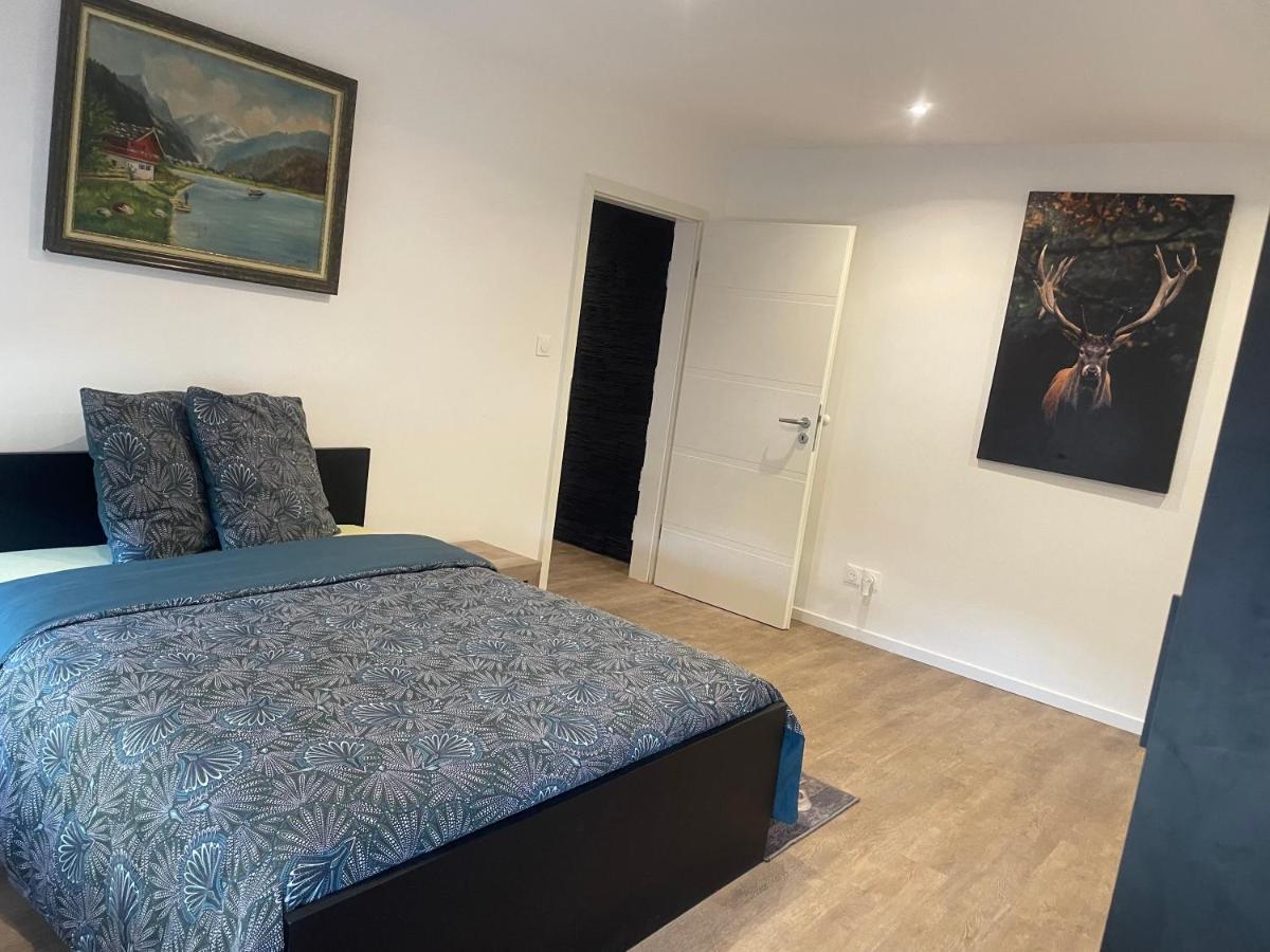 Villerupt Superbe Appartement Au Rdc Avec Cheminee מראה חיצוני תמונה